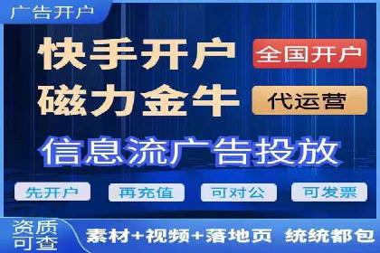 某行业领先企业背后的百度推广代理商策略